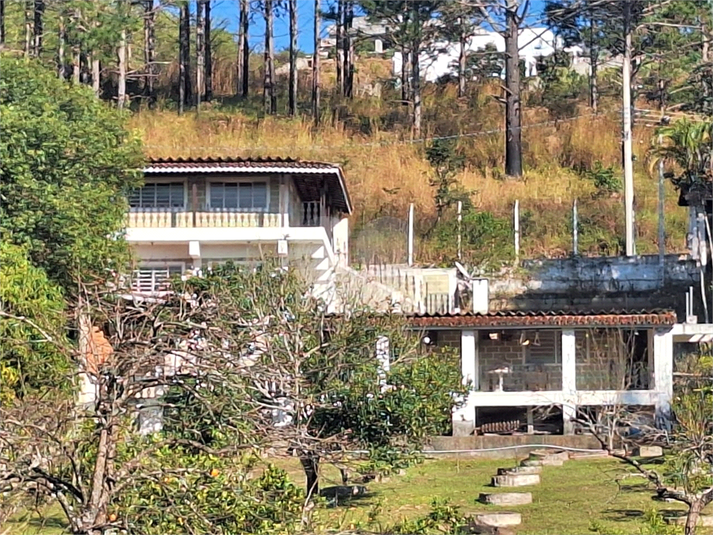 Foto REO1107771