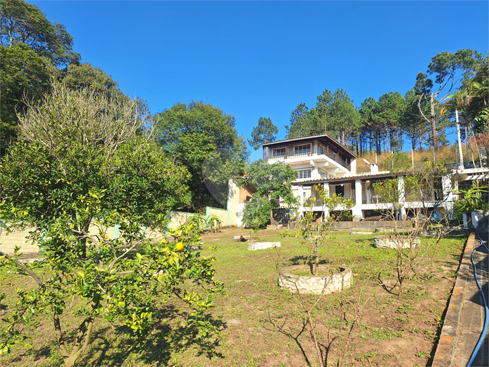 Foto REO1107771