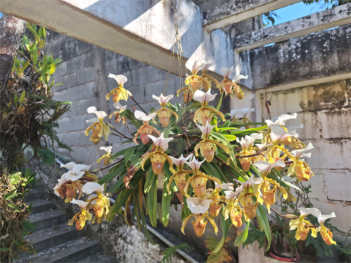 Foto REO1107771