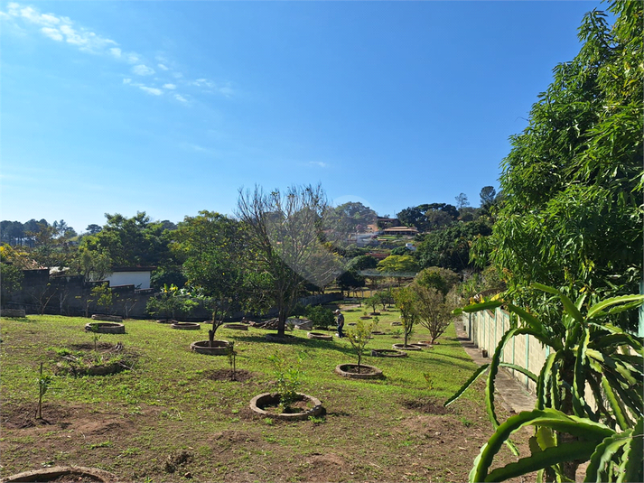 Foto REO1107771