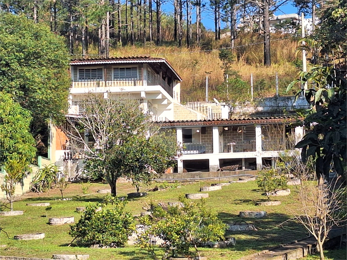 Foto REO1107771