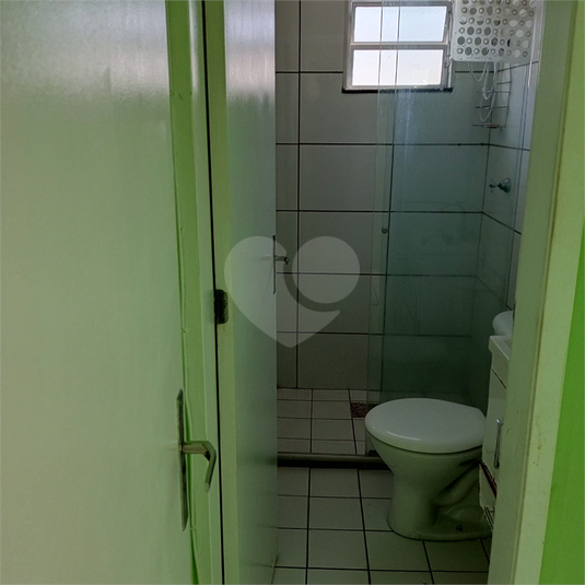 Foto REO1107777