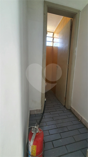 Foto REO1107790