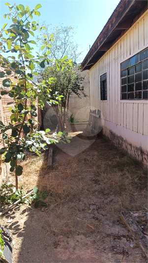 Foto REO1107794
