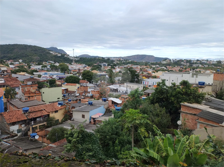 Foto REO1107813