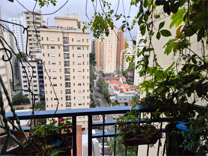 Foto REO1107824