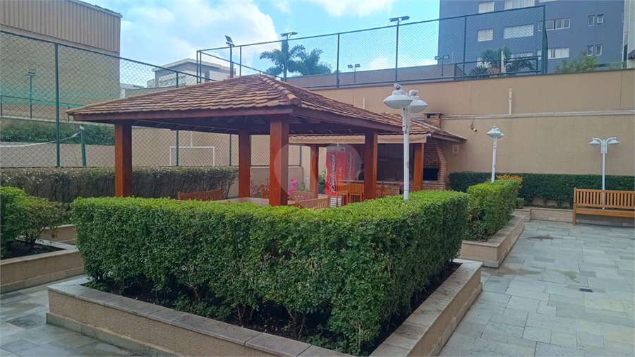 Foto REO1107827
