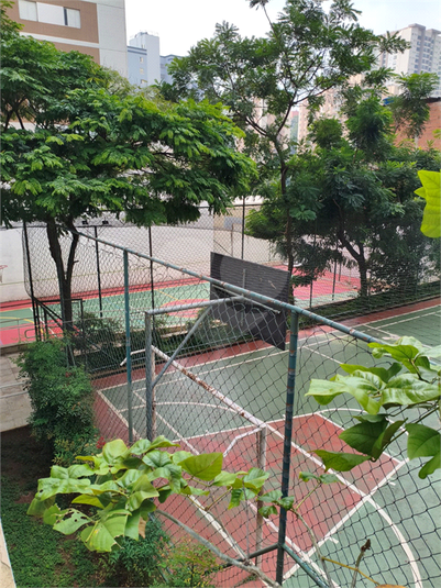 Foto REO1107830