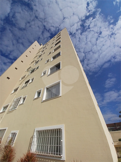 Foto REO1107836