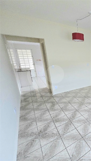 Foto REO1107862