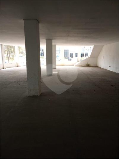 Foto REO1107866