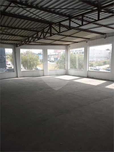 Foto REO1107866