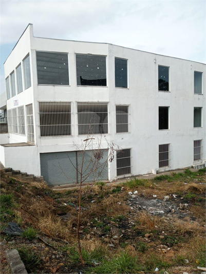 Foto REO1107866
