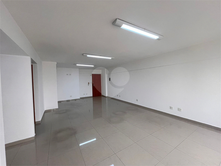 Foto REO1107868
