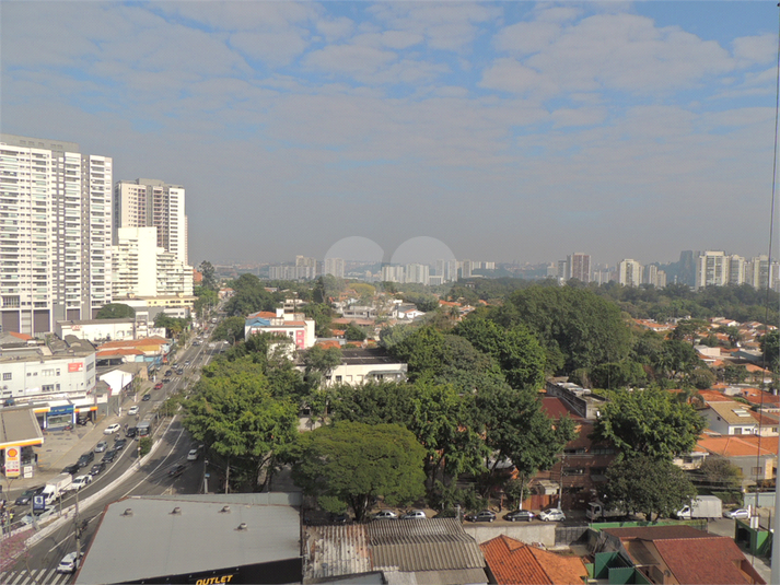 Foto REO1107871