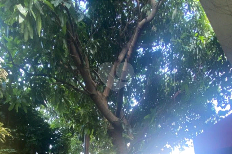 Foto REO1107872