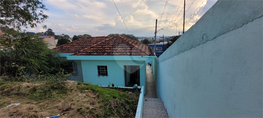 Foto REO1107877