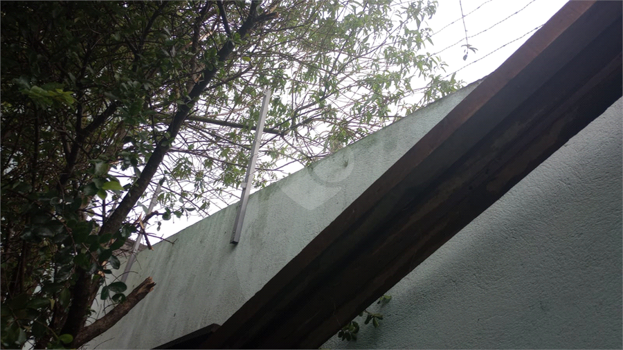 Foto REO1107877