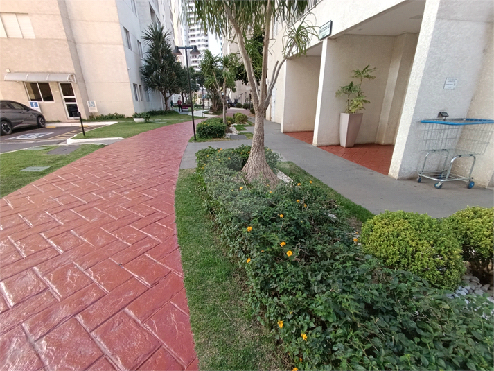 Foto REO1107891