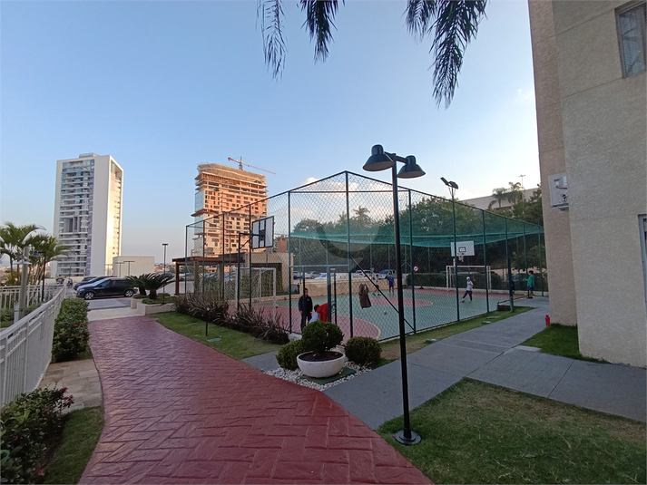 Foto REO1107891