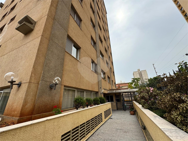 Foto REO1107898