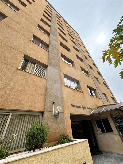 Foto REO1107898