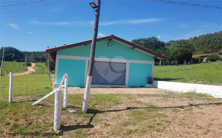 Foto REO1107899