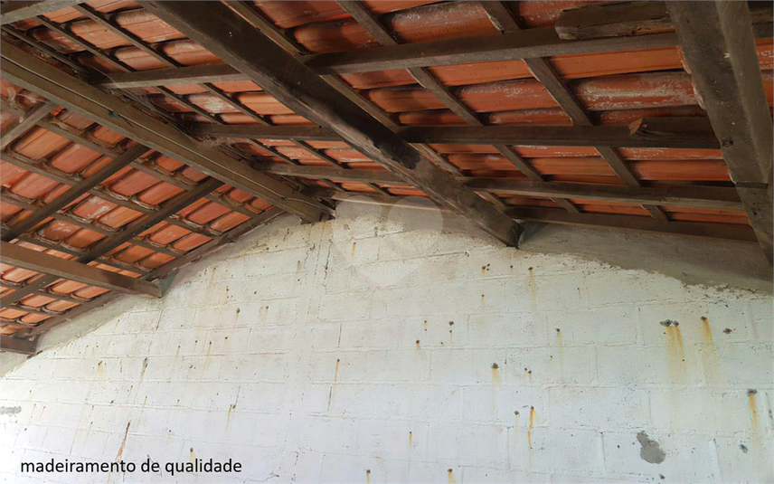 Foto REO1107899