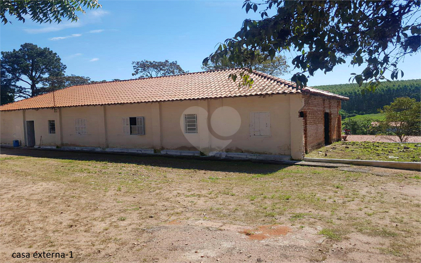 Foto REO1107899