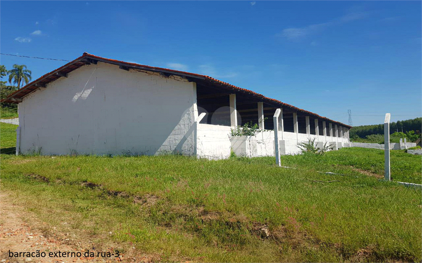 Foto REO1107899
