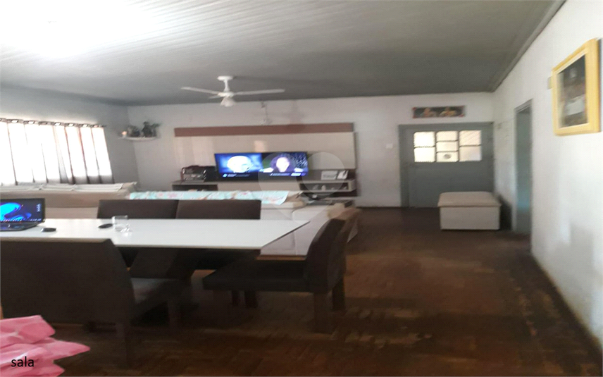 Foto REO1107899