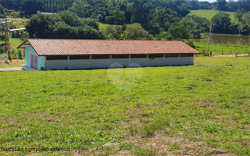 Foto REO1107899