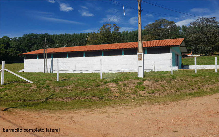 Foto REO1107899