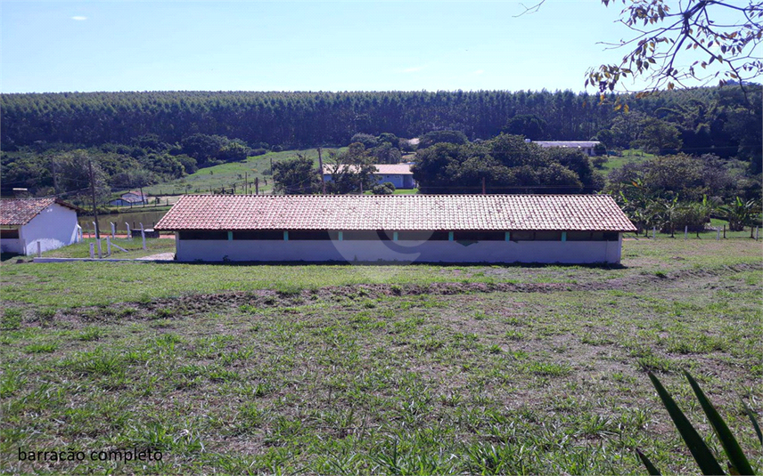Foto REO1107899