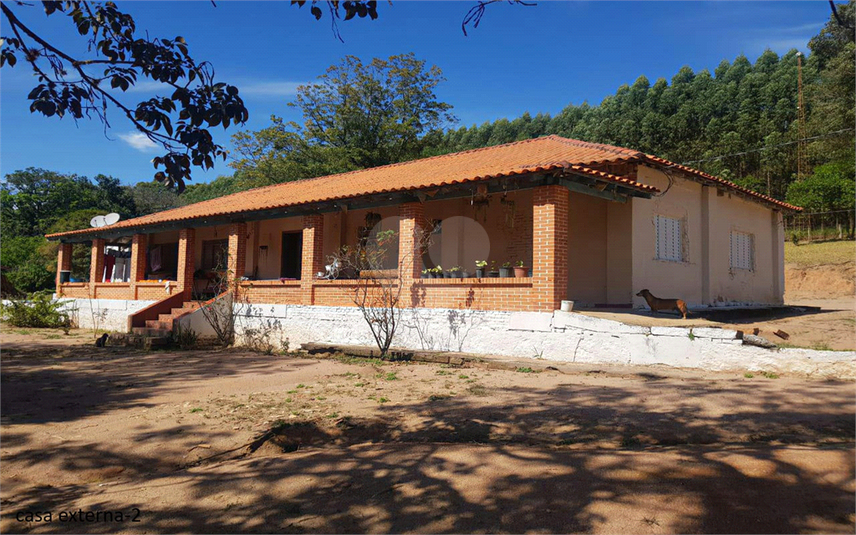 Foto REO1107899