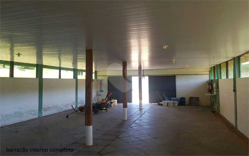 Foto REO1107899