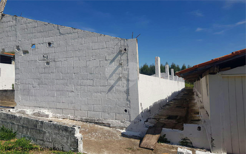 Foto REO1107899