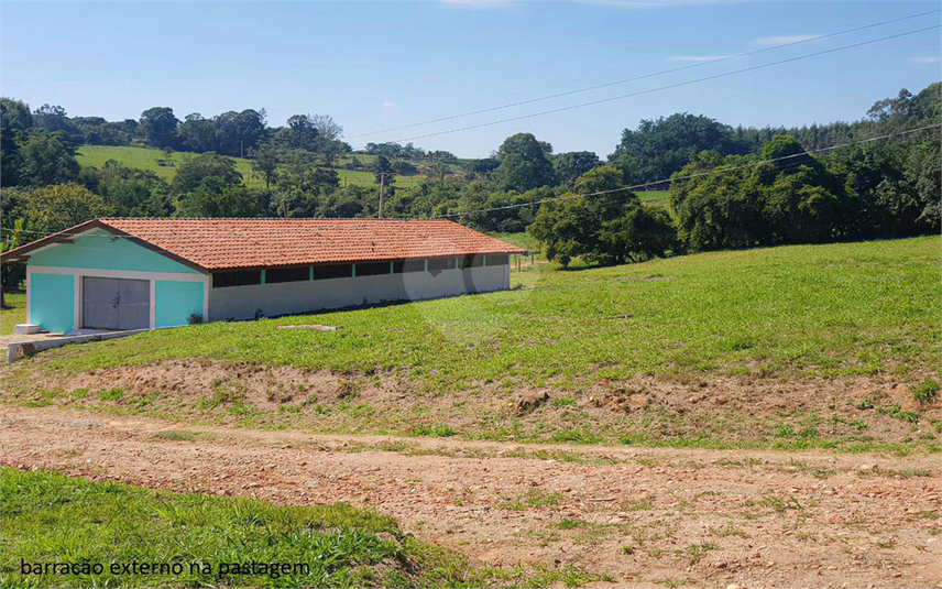 Foto REO1107899