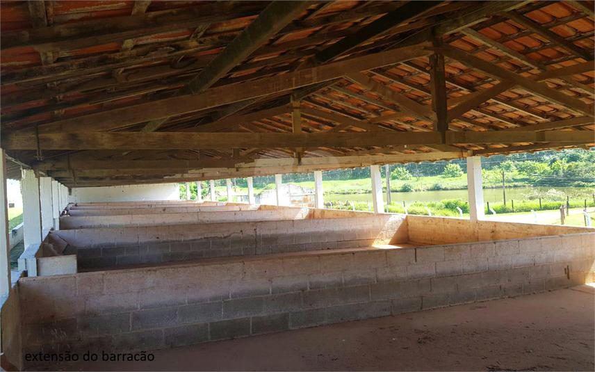 Foto REO1107899