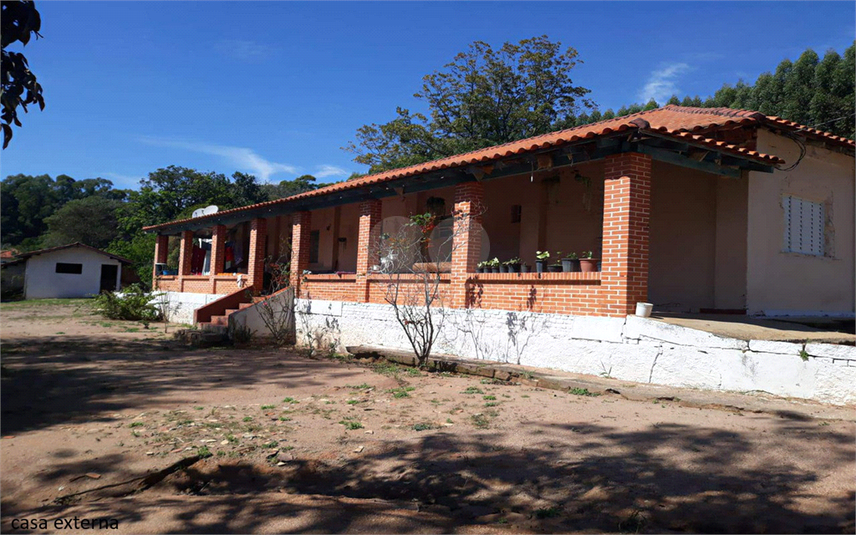 Foto REO1107899