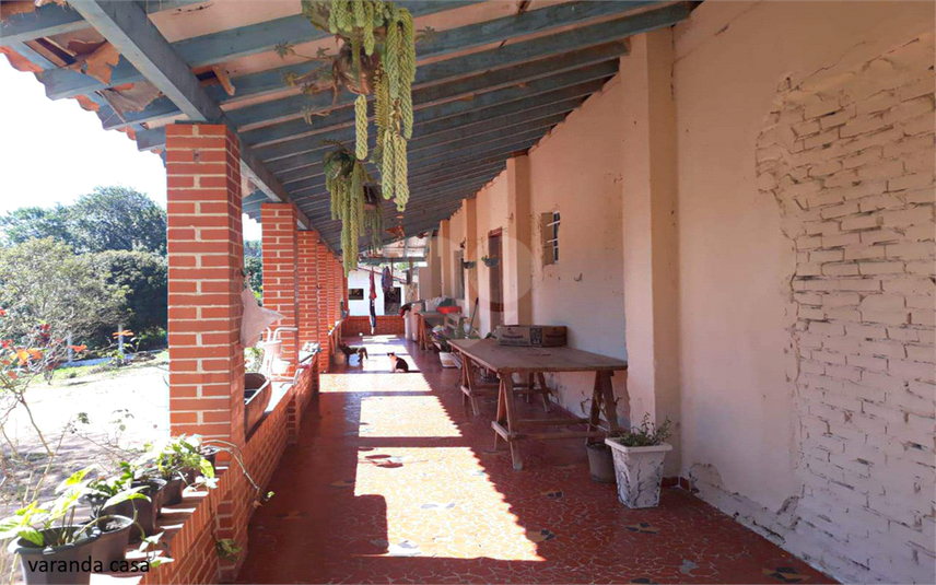 Foto REO1107899