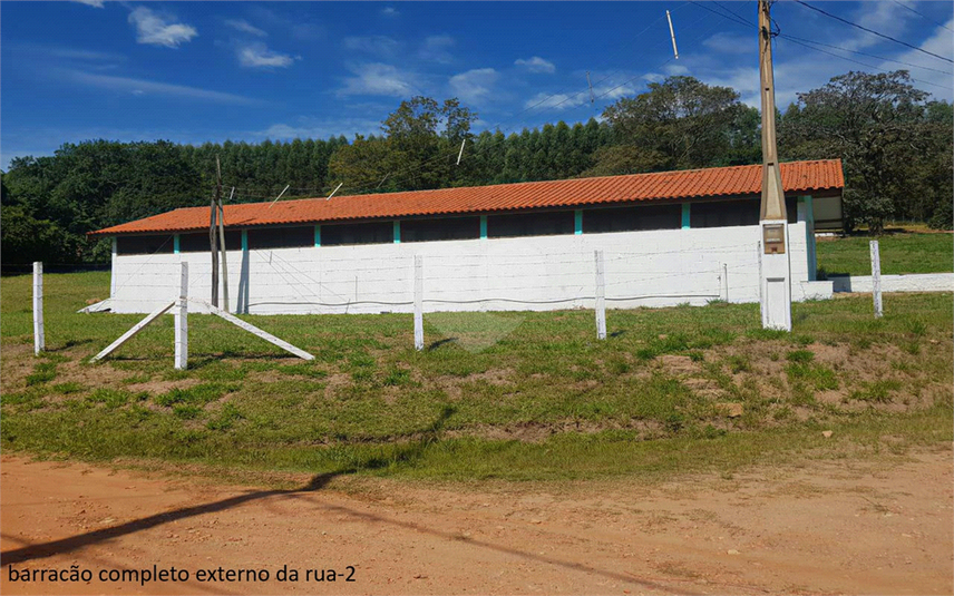 Foto REO1107899