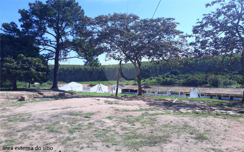 Foto REO1107899