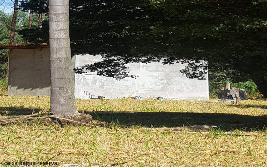 Foto REO1107899