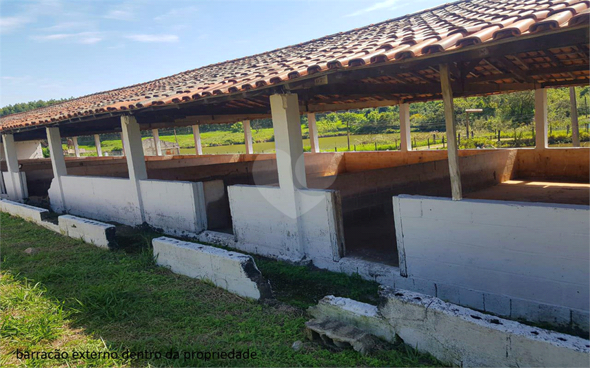 Foto REO1107899