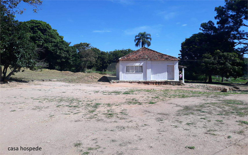 Foto REO1107899