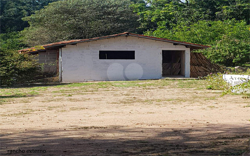 Foto REO1107899