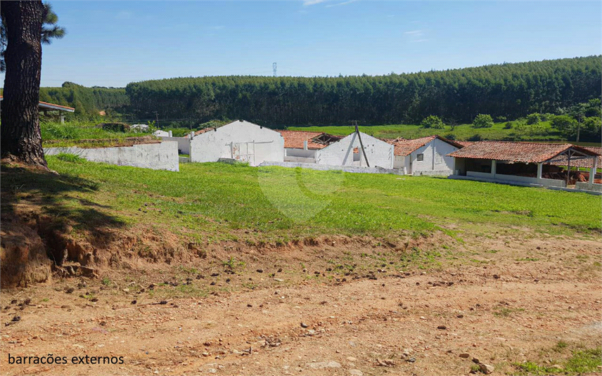 Foto REO1107899