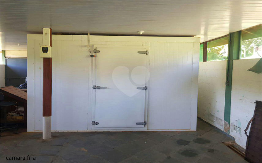 Foto REO1107899