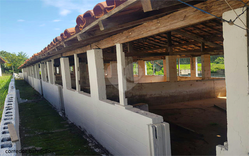 Foto REO1107899
